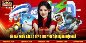 Lô Gan Miền Bắc Là Gì? 5 Lưu Ý Để Tận Dụng Hiệu Quả