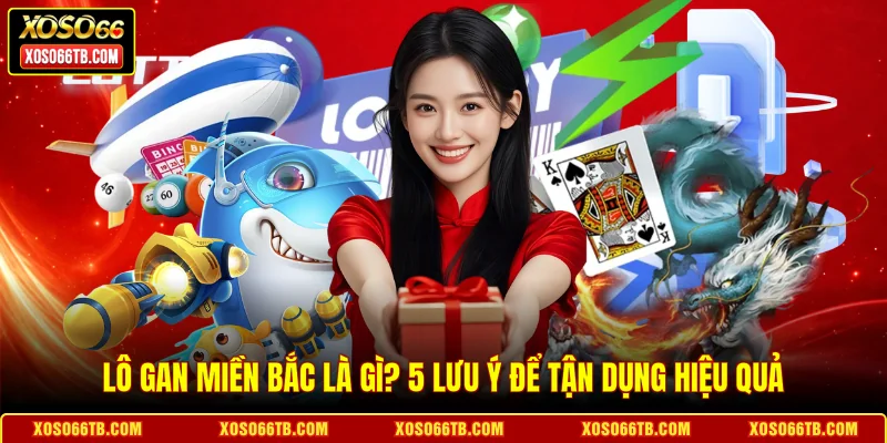 Lô Gan Miền Bắc Là Gì? 5 Lưu Ý Để Tận Dụng Hiệu Quả